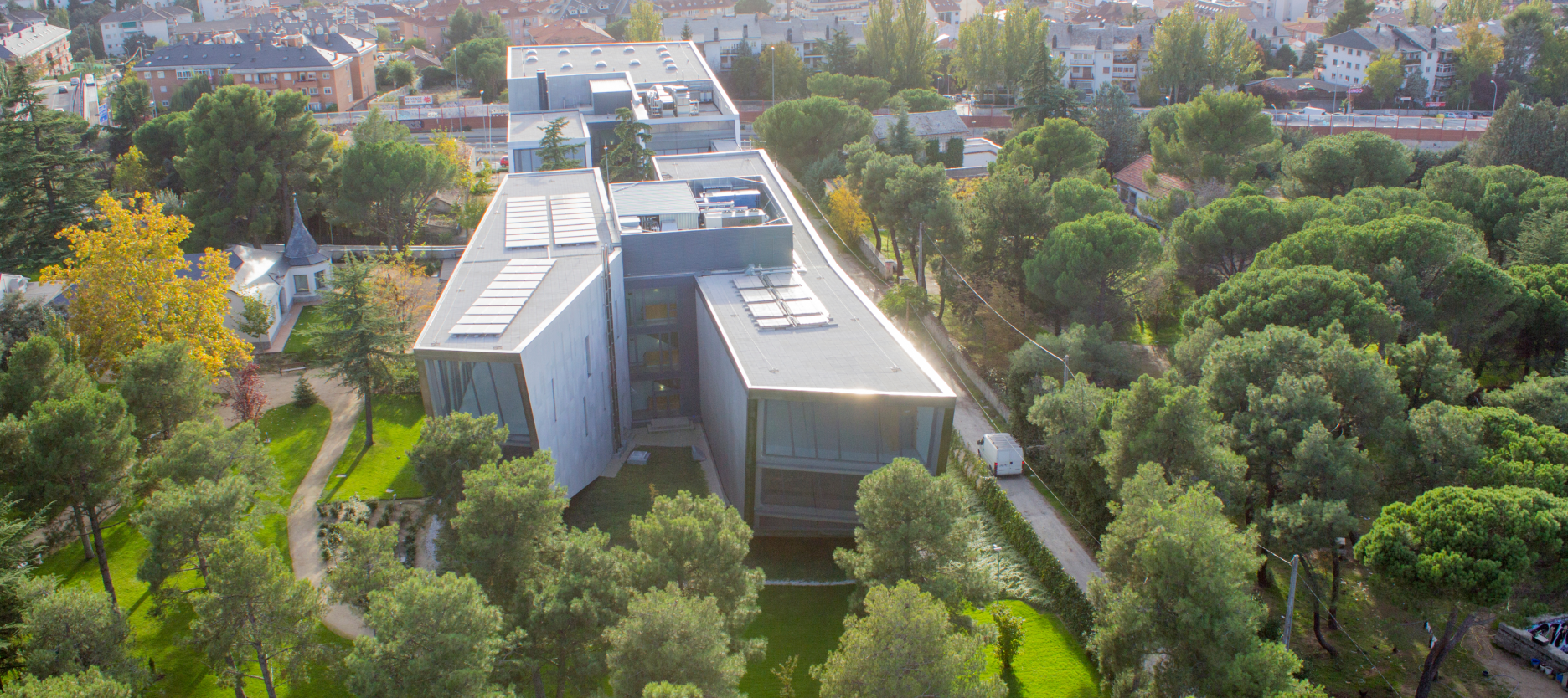 Universidad Udima Universidad Udima