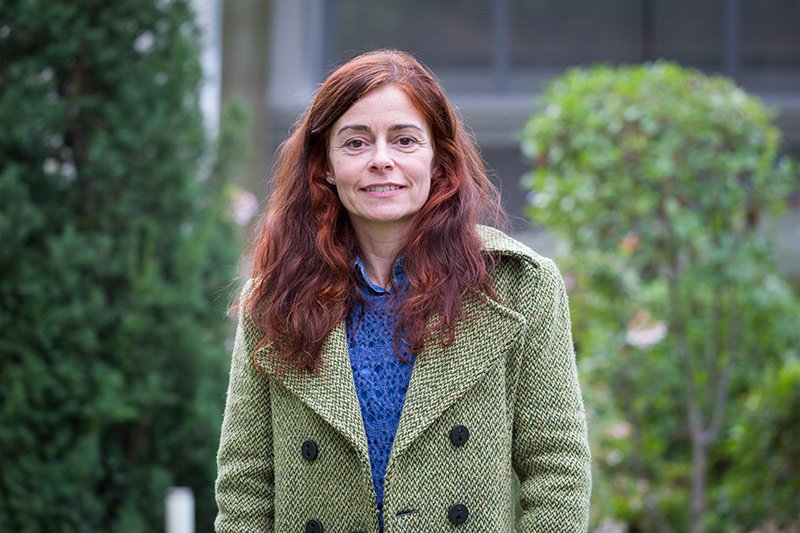 Profesora Cristina Izaskun Martín Gómez Profesora Cristina Izaskun Martín Gómez