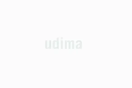 UDIMA