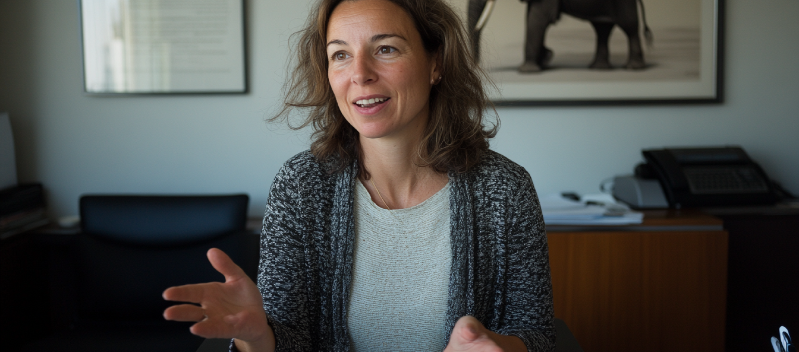 Hero - Grado en Empresas y Actividades Turísticas Hero - Grado en Empresas y Actividades Turísticas