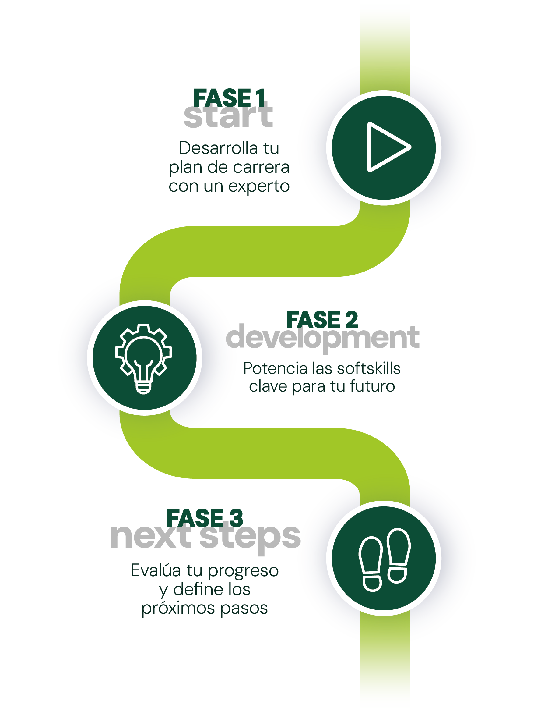 Raise Your Skills v2