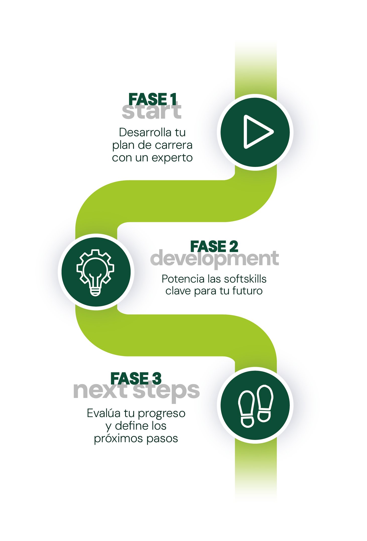 Infografía Raise Your Skills