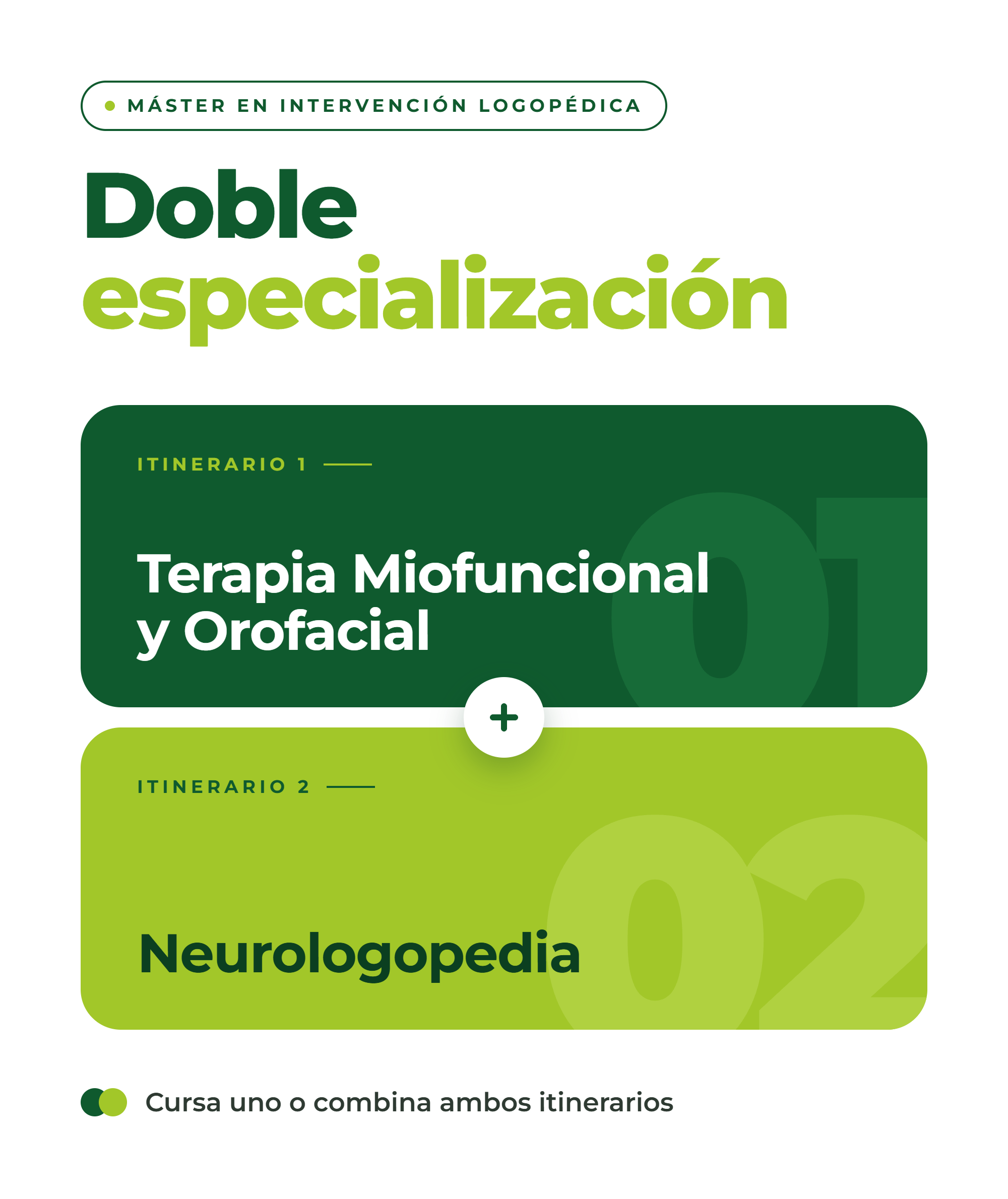 itinerario intervención logopédica